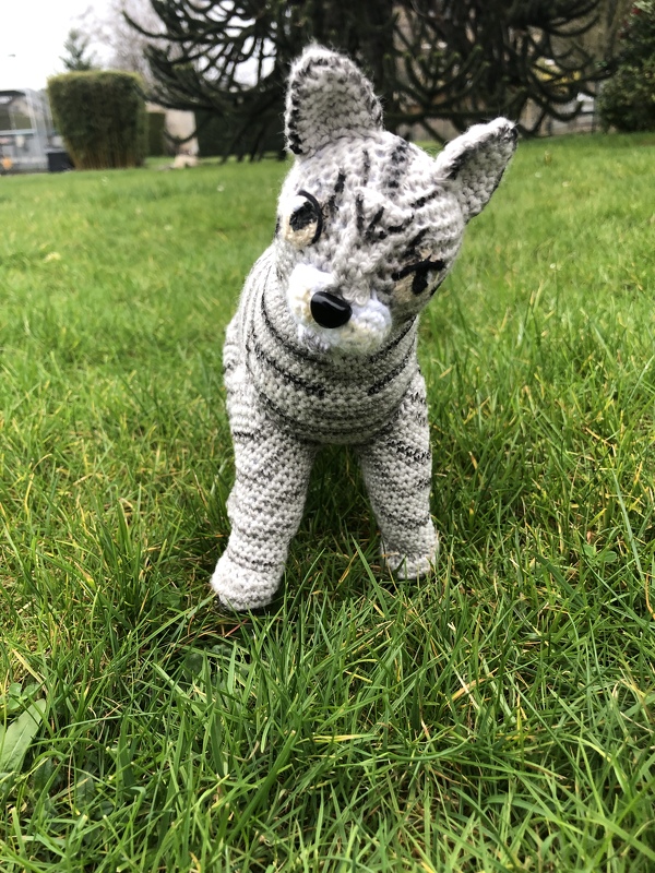 realistic cat - crochet pattern by NiggyArts