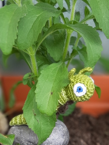 Schön erklärende Anleitung.  Der kleine Wurm fühlt sich in meinem Balkonkasten sichtlich wohl :-).