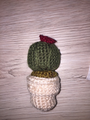 Die Beschreibung ist toll und eigentlich sehr einfach. Da ich blutiger Anfänger bin,klappt nicht immer alles wie ich möchte aber ich finde man kann den Kaktus schon erkennen