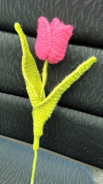 Eine Tulpe für...