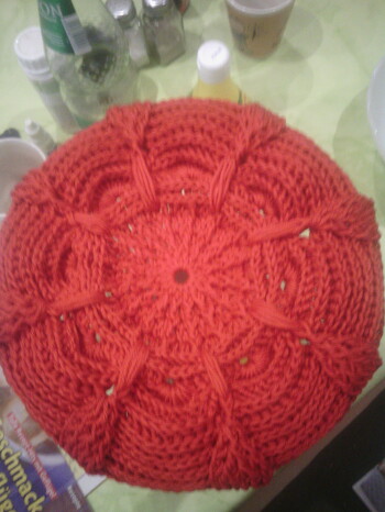 Super Anleitung. Beim ersten Mal habe ich einen Fehler gemacht und mußßte es nochmal wiederholen. Dann hat es aber super geklappt wie du am Foto sehen kannst. Danke nochmal