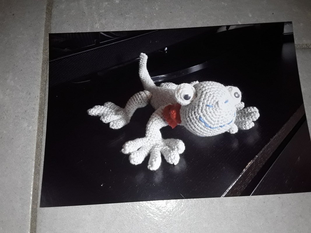 Gecko - Kollektion Amazonas Häkelanleitung Amigurumi