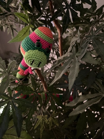 Und noch eine Ringelsocke aus dem Garn vom Adventskalender!