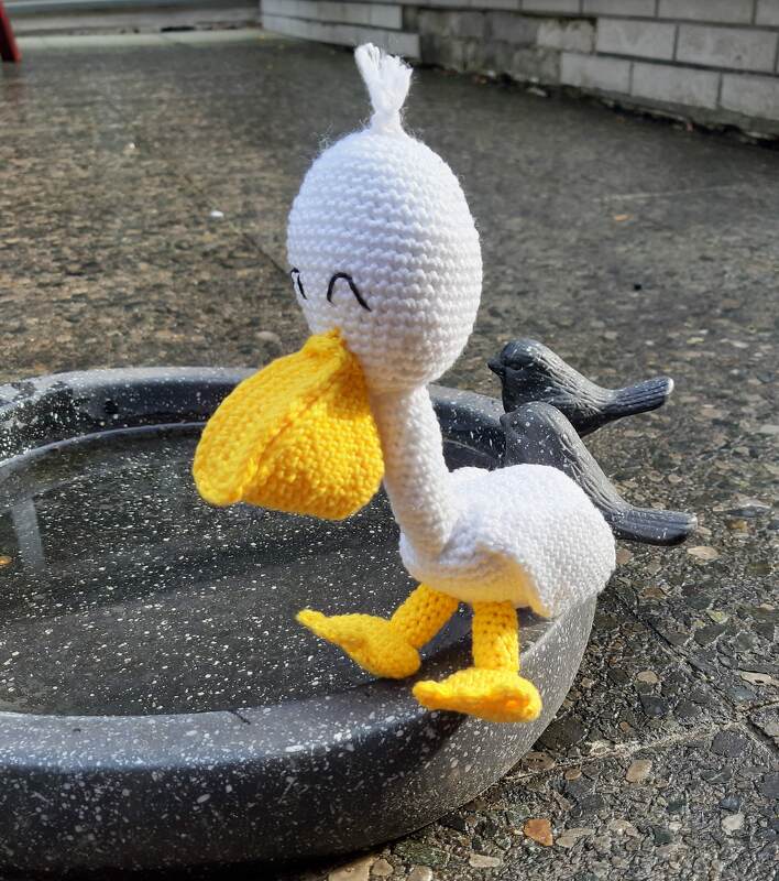 Grinsepelikan von LaCritza