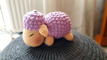 Prima Anleitung, gut nachzuarbeiten. Ich freue mich, das Lämmchen - bestückt mit dem Westsandmännchenlied - zu verschenken. Es wird nicht das Letzte gewesen sein 😊