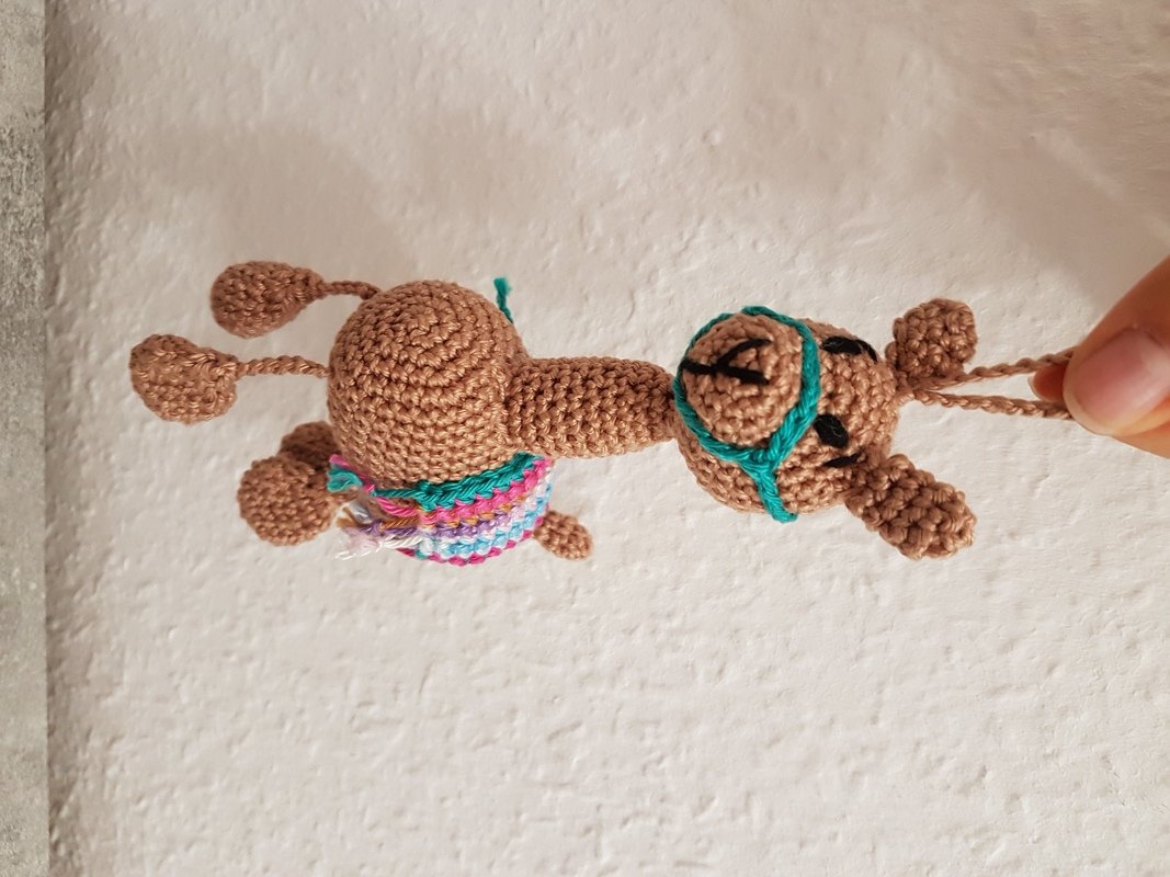 Mia das Mini Lama oder ein Taschenbaumler als Lama :-)