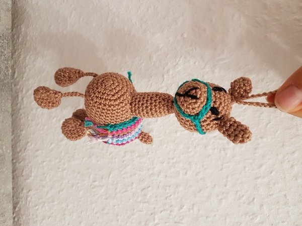 Mia das Mini Lama oder ein Taschenbaumler als Lama :-)