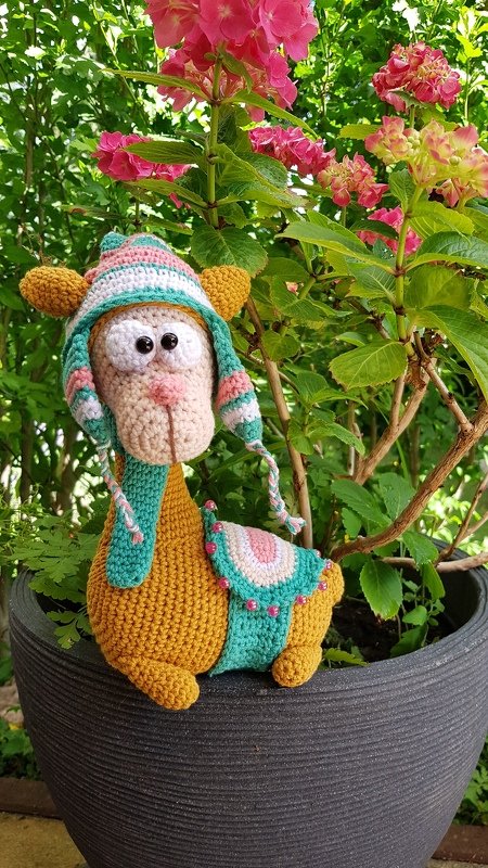 little Llamas with cactus