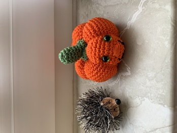 Vielen Dank für die Anleitung! Es hat sehr viel Spaß gemacht.🎃