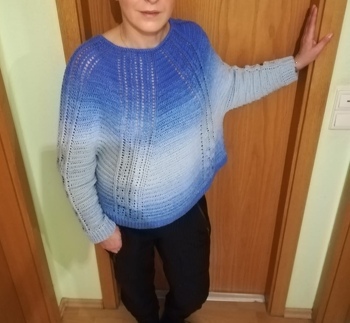 Ganz toll erklärte Anleitung. Ich werde definitiv noch einen Pullover häkeln.