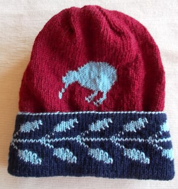 Es hat wirklich Freude gemacht, diese Mütze zu stricken. Ich hab sie in anderen Farben gestrickt. Hier die dunkle Variante - rot/blau.