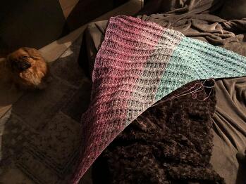 Mein kleiner Brutus und ich lieben das Tuch voll verzopft