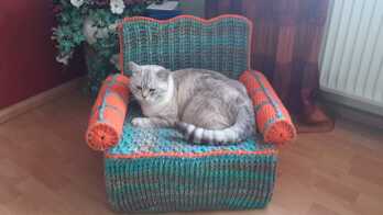 Hat sehr viel Spaß gemacht. Nun hat unser Prinz ein eigenes Sofa :-D