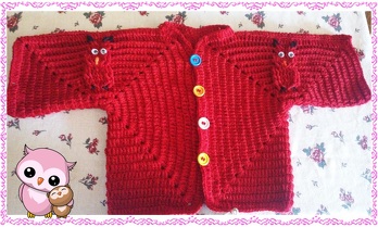 Nach der Anleitung  von moniswolle
habe ich diese Jacke gefertig.
Es ist eine sehr schön beschrieben Anleitung mit detaillierten Bildern und so das Nacharbeiten sehr erleichtern.
Es hat mir sehr viel Spaß gemacht.