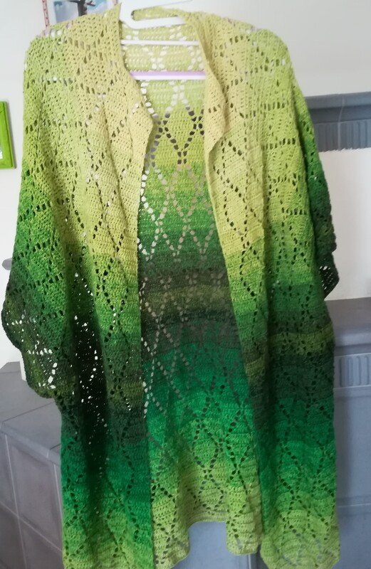 RAGLANJACKE GREEN BIRD