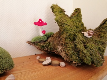 Hab einen Pilz in einen Fliegenpilz umgewandelt.