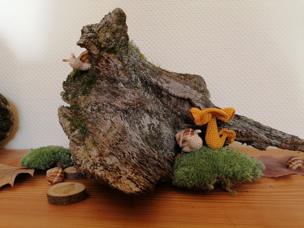 Mushrooms. Crochet pattern