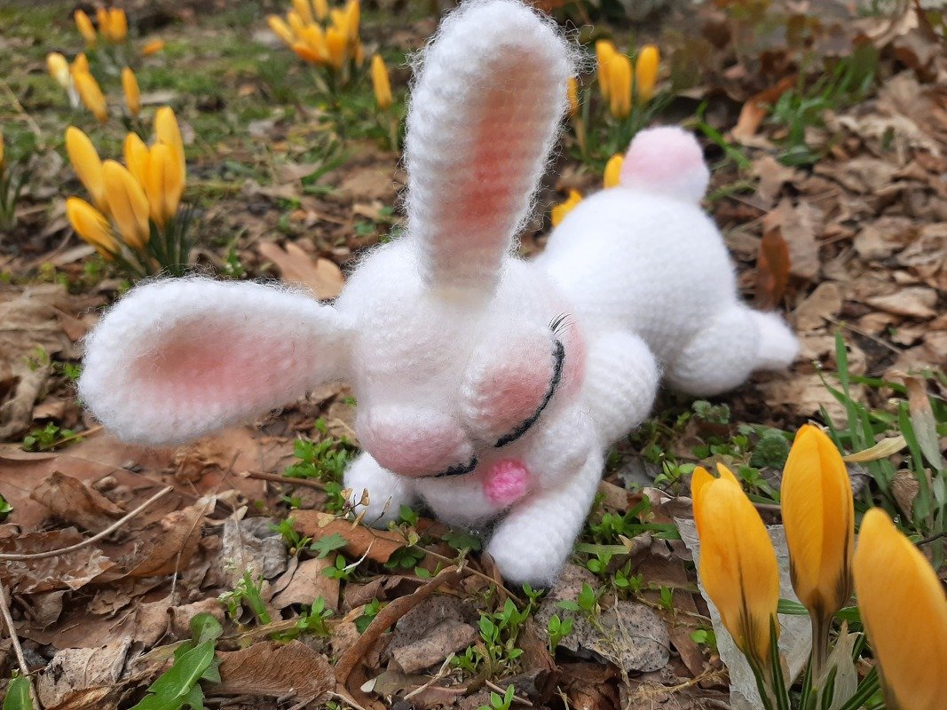 müdes kleines Häschen träumt von Frühling und Ostern
