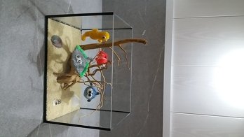 Eine tolle Idee und so schön pflegeleicht das Aquarium