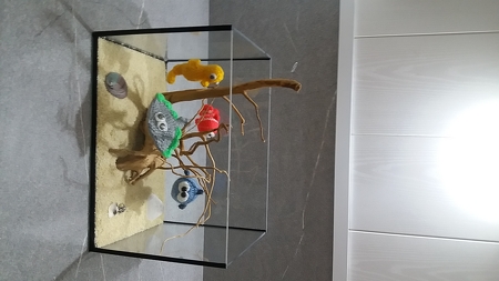 Häkel dir dein eigenes Aquarium mit einer tollen Meeres -WG :-) 5 in 1 !