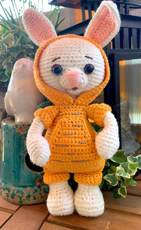 Easter Bunny in Carrot Tracksuit