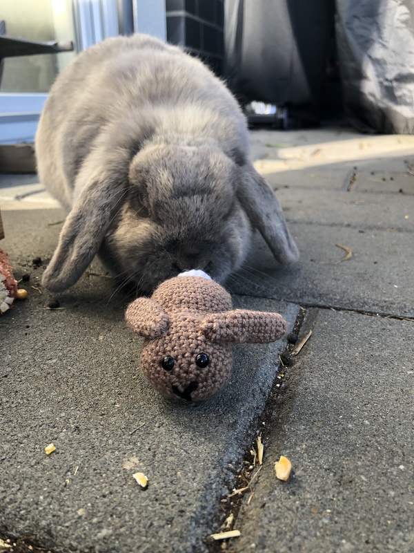 cute bunny - crochet pattern