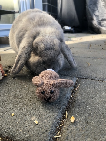 Vielen Dank fürs teilen der Anleitung.
Mein erster Versuch ist denke ich ganz ok.
Es ist halt ziemlich klein und für mich als grobmotoriker extrem aufwendig und friemelig aber das ändert an der tollen Beschreibung ja nichts 🤗