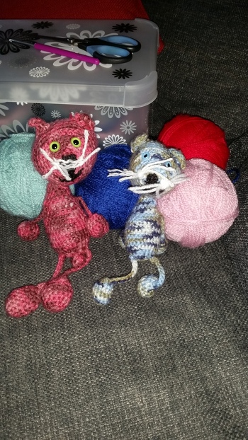 Die beiden gingen super. Sind von meiner Tochter zu " Wollkorbkatzen"  ernannt worden.