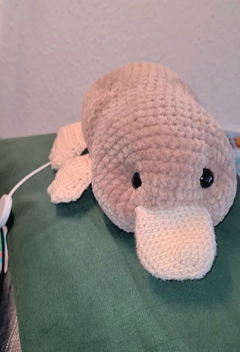 Perfekte Anleitung. Es passt prima eine Spieluhr ins Schnabeltier. Die Beschenkte hat sich sehr gefreut und die Anleitung macht Spaß