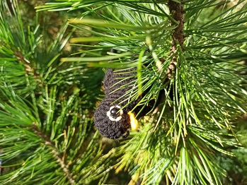 War schnell  und einfach gemacht, bei einer Frage zur Anleitung wurde mir sofort geholfen