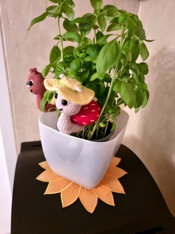 Mein Schnecken.  Eine hat einen Hut