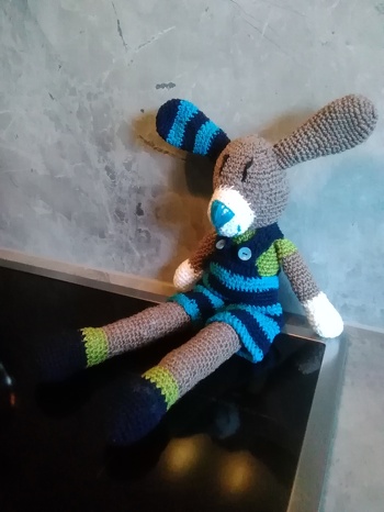 Bin noch Anfänger. Die Anleitung war super und mein Hasi ist toll geworden. Danke