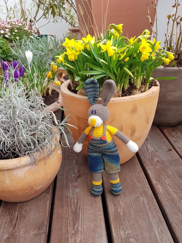 Häkelanleitung Tom Hase