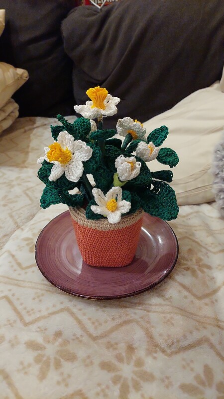 Häkel-Deko Christrose Lenzrose im Häkel-Topf oder für die Vase - einfach