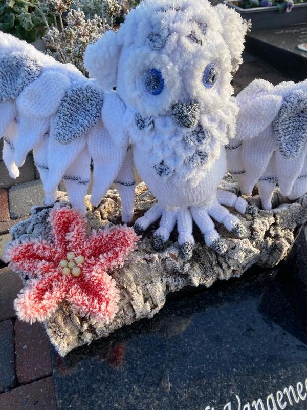 Crochet Pattern &quot;Snowoul Eureilia&quot;- glow in the dark