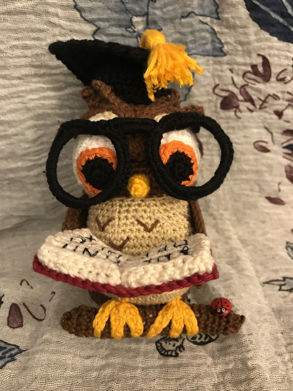 Eule Student Absolvent. Häkelanleitung