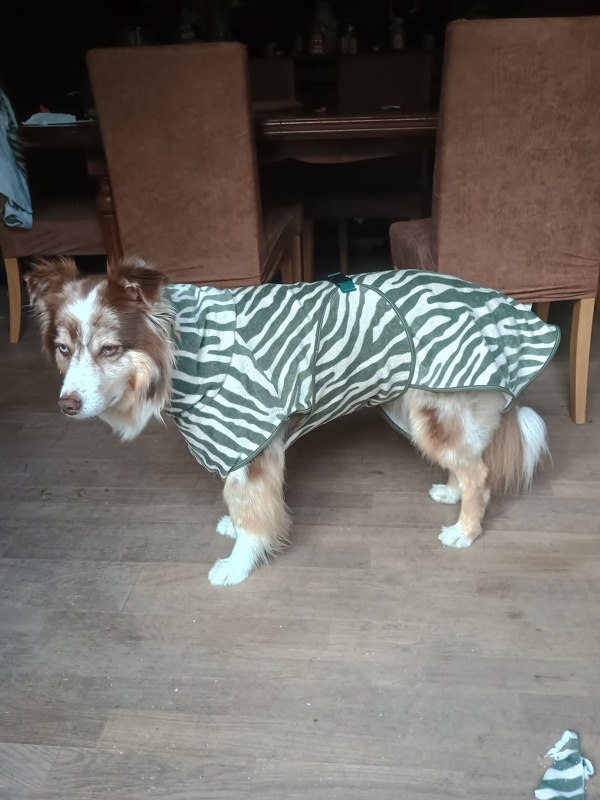 TIRIM Hundemantel, Bademantel, XS–XXL, Anl.+Schnitt