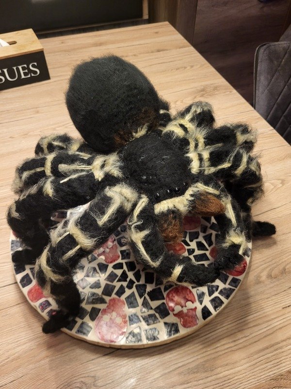 Crocheted Zebraknee Tarantula. Amigurumi pattern.