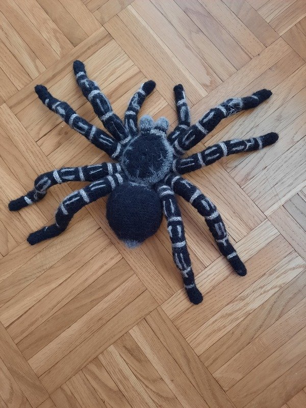 Crocheted Zebraknee Tarantula. Amigurumi pattern.