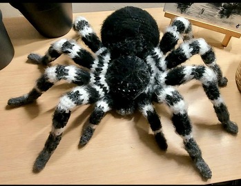 Eine sehr gute Anleitung.