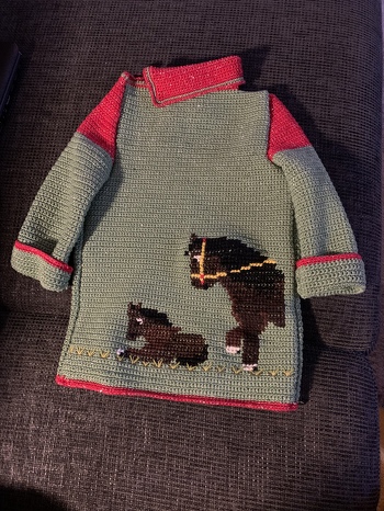 Ich finde das der Pullover sehr schön geworden ist. Meine Enkeltochter hat sich sehr gefreut. Für Anfänger ist er allerdings wirklich nicht geeignet.