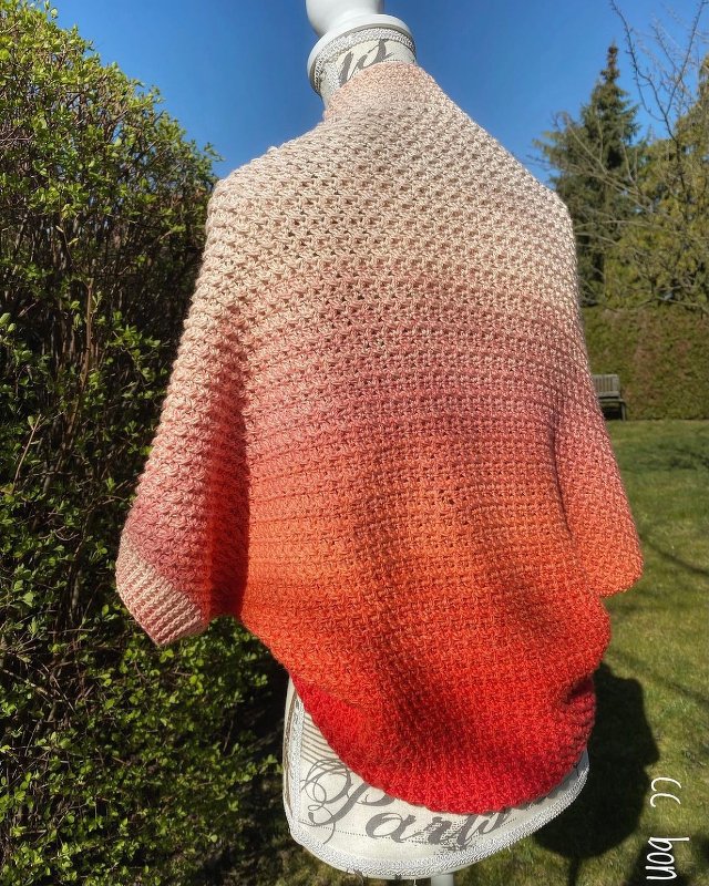 Anleitung Loop und Tuch cc-Fifty