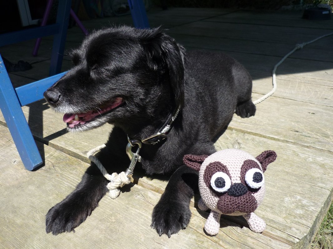 amigurumi animal glotzi PDF crochet pattern tutorial by Katja Heinlein stuff toy kids plaything dog doggy pug ebook file