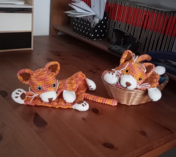 Die Anleitung ist gut zu  verstehen.