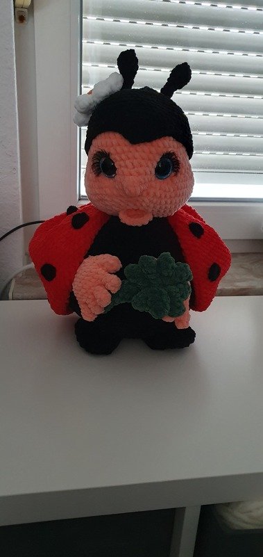 Marili the Lucky Ladybug
