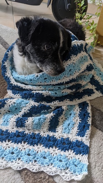 Sepi als Faya-Testerin ist begeistert