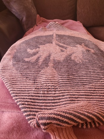 War ein Geburtstagsgeschenk, ist sehr gut angekommen. Hat Spaß gemacht es zu stricken.