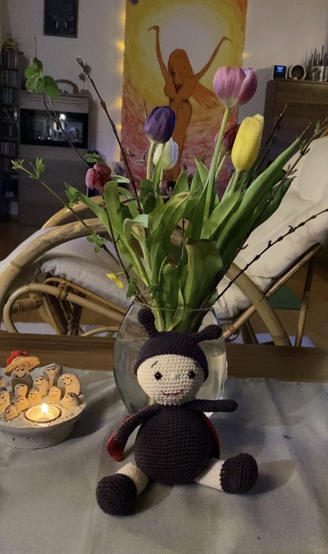 Amigurumi Käfer häkeln – Anleitung „Marie“ (ca. 16 cm) für Anfänger / PDF-D