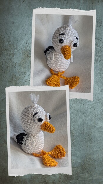 Dieses süße Kerlchen wird ein Weihnachtsgeschenk...
#Möwe #Vogel #Taschenbaumler