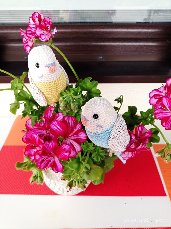 Wellensittich, Häkelanleitung